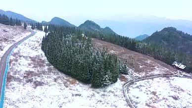 4K航拍冬季冰雪覆盖的岐山草场白色松树mp41080P视频素材